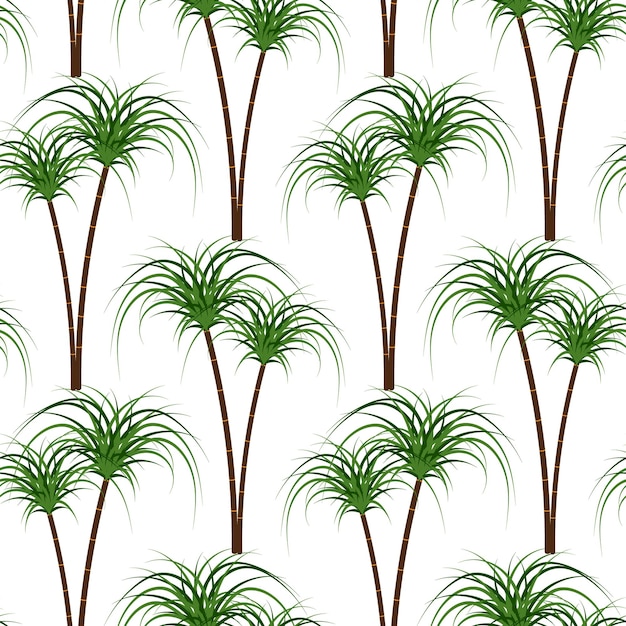 Patrón sin fisuras, ramas de bambú, palmeras sobre un fondo blanco. Fondo, impresión, vector