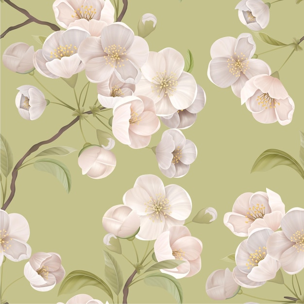 Patrón sin fisuras de Sakura. Cerezos en flor blanca con hojas y ramas sobre fondo verde. Papel elegante o estampado textil, adorno decorativo de papel tapiz, ilustración vectorial botánica