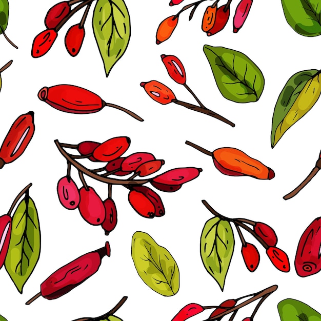 Patrón sin fisuras sobre un fondo blanco de agracejo floreciente. Delicado estampado floral abstracto