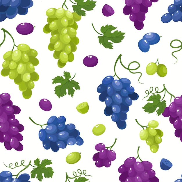 Vector patrón sin fisuras con uvas de dibujos animados aislado en blanco. bayas de jugo brillante.