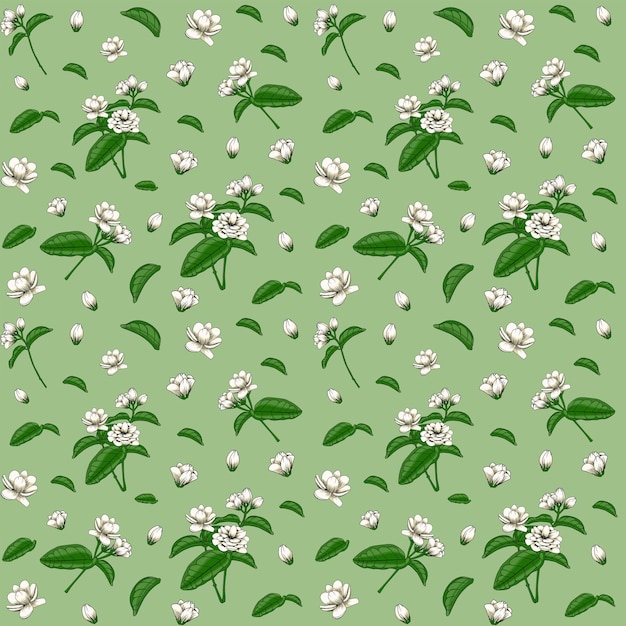 Vector patrón floral abstracto de jazmín