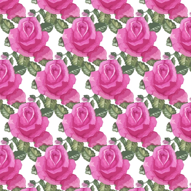 Vector patrón floral acuarela transparente - rosas rosadas con hojas