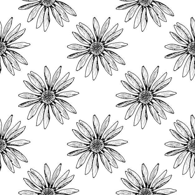 Patrón floral blanco y negro sin costuras con flores de campo dibujadas a mano, ideales para