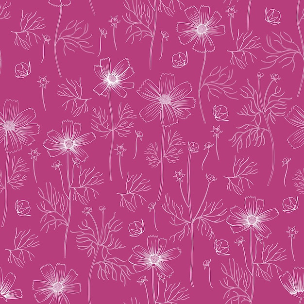Patrón floral sin costuras Arte de la línea floral de Kosmos Kosmeya dibujado a mano aislado en fondo rosado
