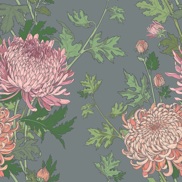 Patrón floral sin costuras de crisantemos Patrón vectorial de flores rosadas sobre un fondo gris