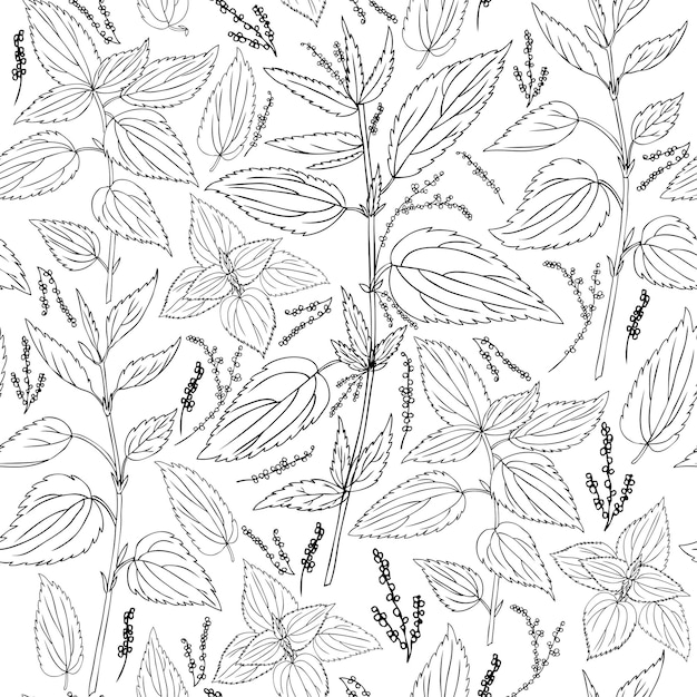 Patrón floral sin costuras Flor de campo silvestre de ortiga aislada sobre un fondo blanco vector de tinta dibujado a mano
