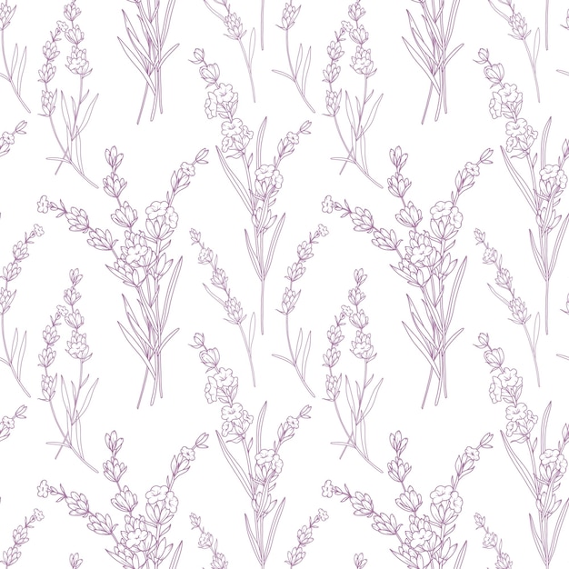 Patrón floral sin costuras con fondo de lavanda Fondo ecológico Arte de línea dibujado a mano de lavanda