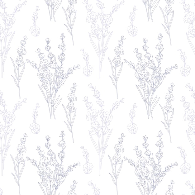 Patrón floral sin costuras con fondo de lavanda Fondo ecológico Arte de línea dibujado a mano de lavanda