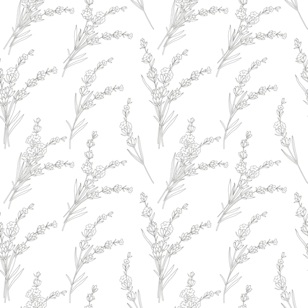 Patrón floral sin costuras con fondo de lavanda Fondo ecológico Arte de línea dibujado a mano de lavanda