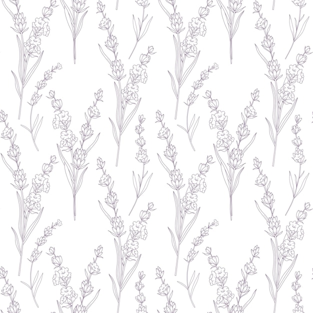 Patrón floral sin costuras con fondo de lavanda Fondo ecológico Arte de línea dibujado a mano de lavanda