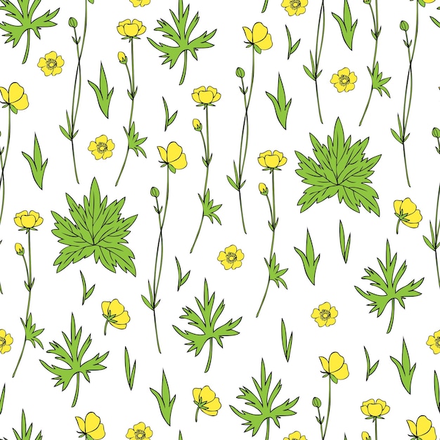 Patrón floral sin costuras Ilustración vectorial de flor de mariposa o pie de gallo aislada sobre un fondo blanco