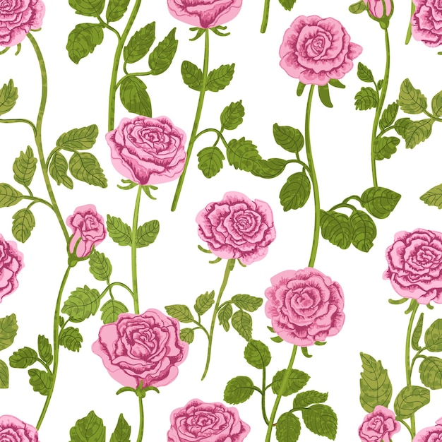 Patrón floral sin costuras con ilustraciones de rosas rosadas