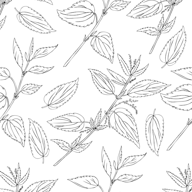 patrón floral sin costuras ortiga flor de campo silvestre aislada en blanco dibujo a mano dibujo vectorial de línea