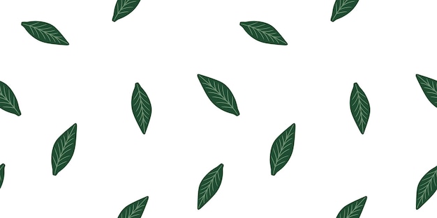 Patrón floral sin costuras Sencillamente hojas verdes textura ornamental sobre fondo transparente blanco Florecimiento de la naturaleza jardín de verano diseño de papel de envoltura textil de fondo texturizado