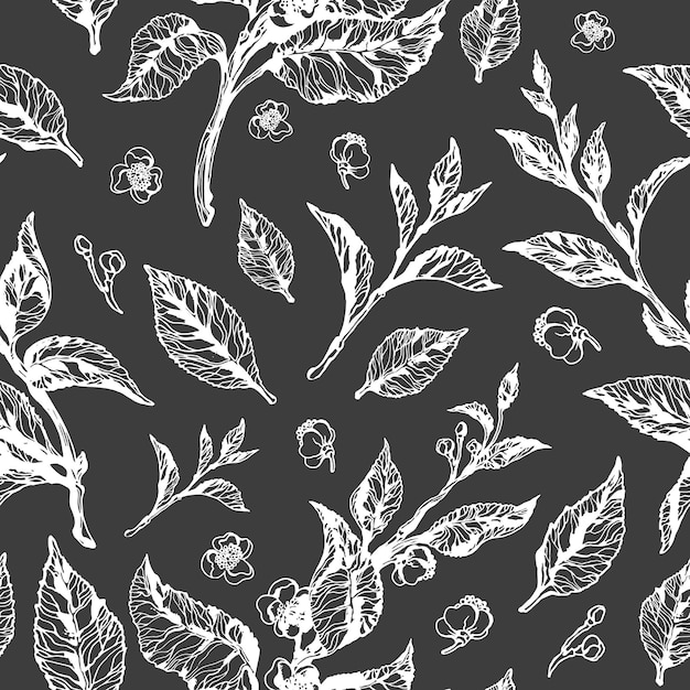Patrón floral sin costuras vectorial arbusto de té
