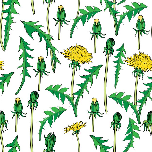 Patrón floral sin costuras vectorial Flor de diente de león dibujada a mano Ilustración colorida aislada en blanco