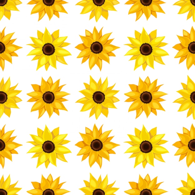 Patrón floral sin fisuras de los girasoles.