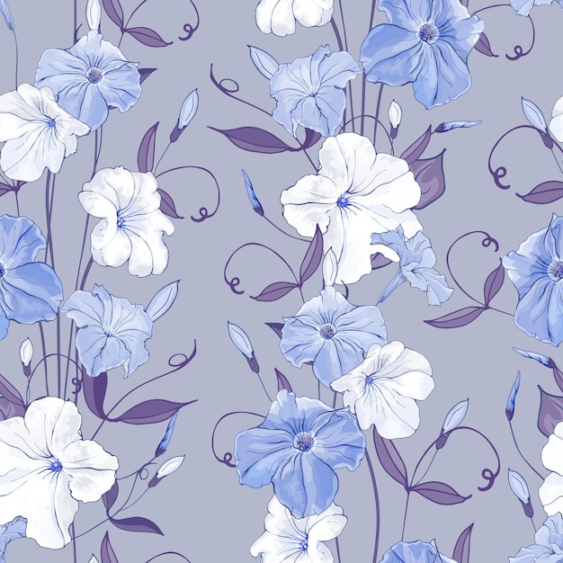 Patrón floral transparente con flores petunias blancas y azules y hojas sobre fondo gris