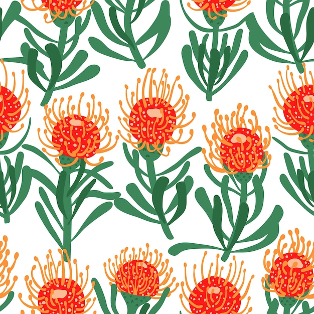 Patrón floral transparente con flores de protea dibujadas a mano Fondo decorativo botánico