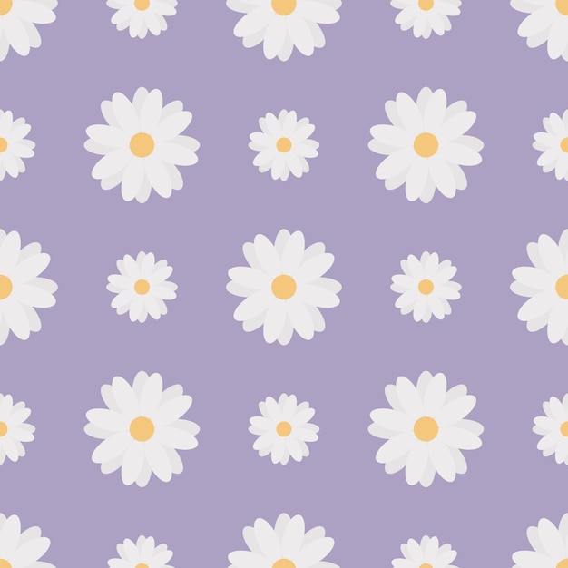 Patrón floral transparente de manzanilla blanca sobre fondo púrpura