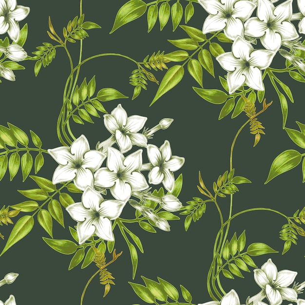 Patrón floral transparente de vector con flores de jazmín.