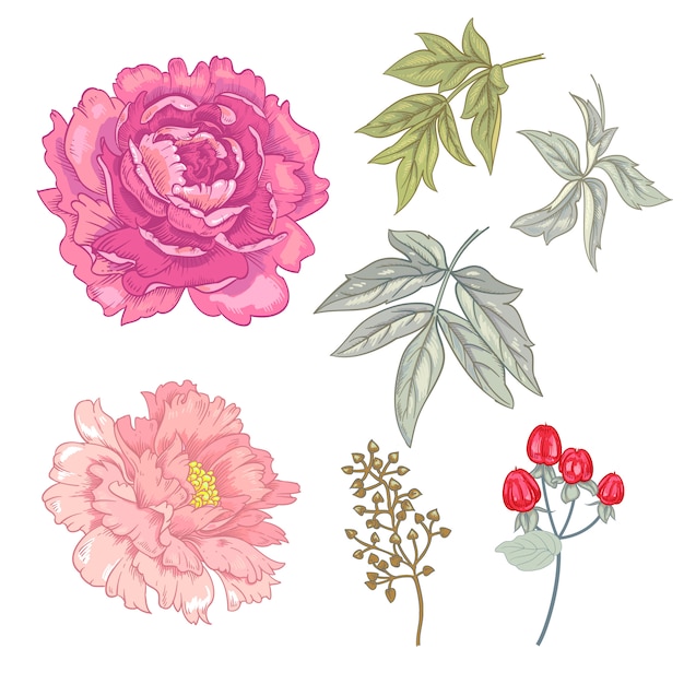 Patrón floral transparente de vector