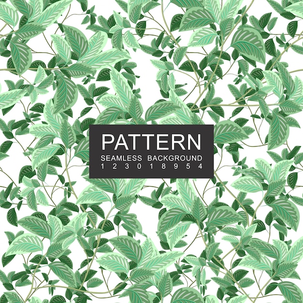 Patrón floral transparente