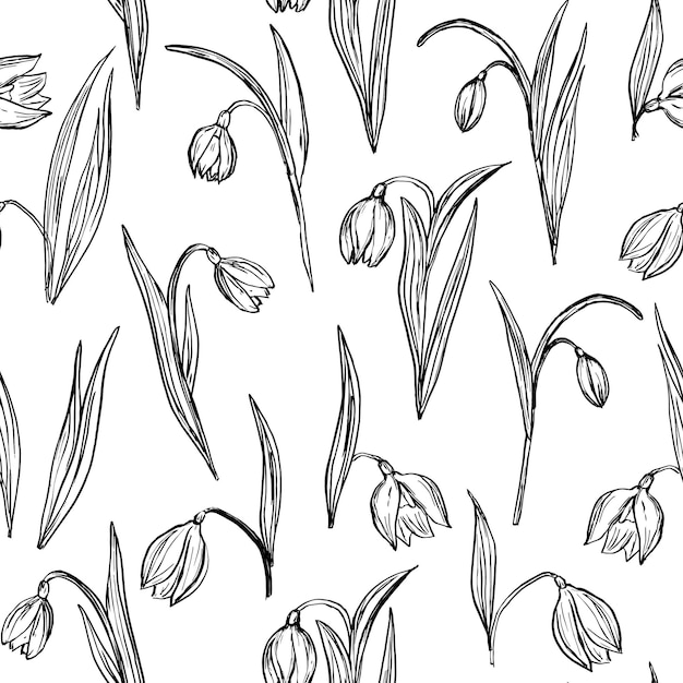 Patrón floral vector inconsútil Primeras flores de primavera Dibujo ilustración sobre fondo blanco