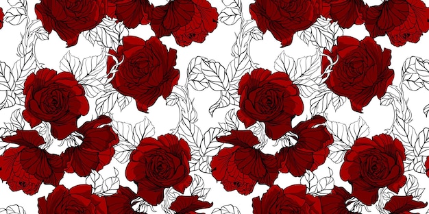 Patrón de flores sin costuras en el vector
