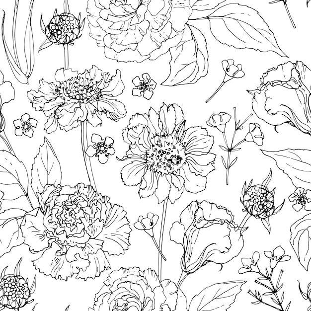 Patrón de flores Dibujo vectorial de flores por línea sobre un fondo blanco Decoración