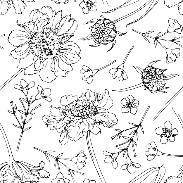 Patrón de flores Dibujo vectorial de flores por línea sobre un fondo blanco Decoración