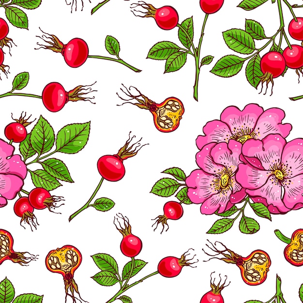 patrón de flores y frutas de dogrose