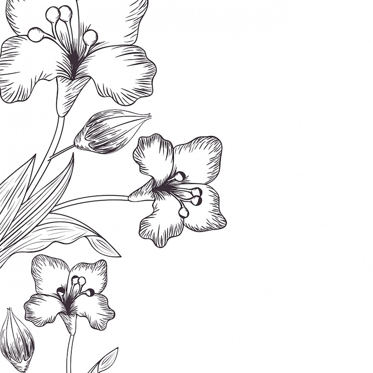 Vector patrón de flores y hojas icono aislado