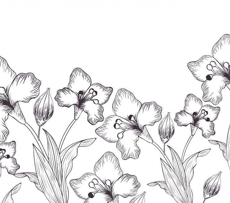 Vector patrón de flores y hojas icono aislado