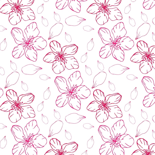 Vector patrón de fondo delicado lindo con flores de cerezo rosa aislado en el blanco.