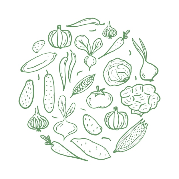 Patrón de forma de círculo de verduras frescas para colorear libro Doodle comida saludable mandala página para colorear Impresión dibujada a mano con maíz calabaza tomate brócoli, etc. Ilustración vectorial