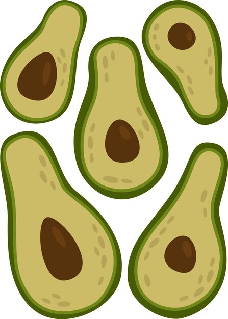El patrón de las frutas del aguacate