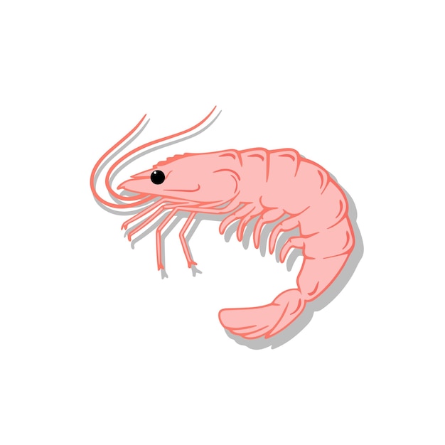 Patrón de gamba rosa diseño de patrón de vector dibujado a mano concepto de mariscos patrón de comida mediterránea diseño de textura de mariscos para banner web e impresión