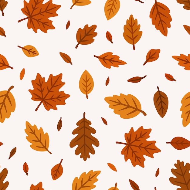 Patrón con grandes hojas de otoño Diferentes tipos y formas de hojas Roble arce rowan abedul