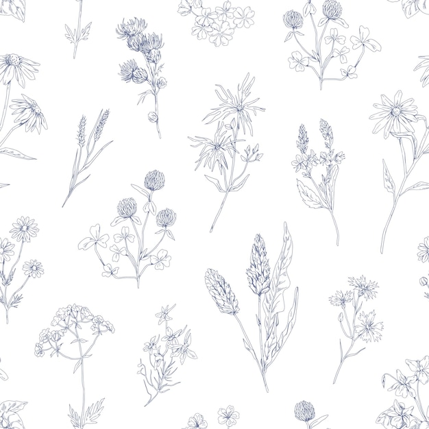 Patrón de hierbas delineadas. Fondo botánico vintage sin costuras con plantas de flores silvestres. Textura de hierbas negras y blancas. telón de fondo floral repetido. Ilustración vectorial dibujada a mano del diseño de envoltura.