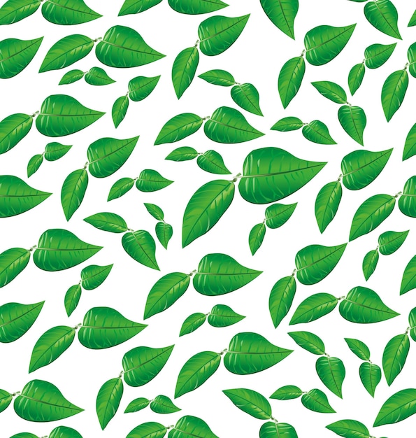 Patrón de hoja verde