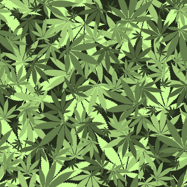 Patrón de hojas de cannabis sin inconvenientes. Marihuana médica, legalizar el concepto de cultura.