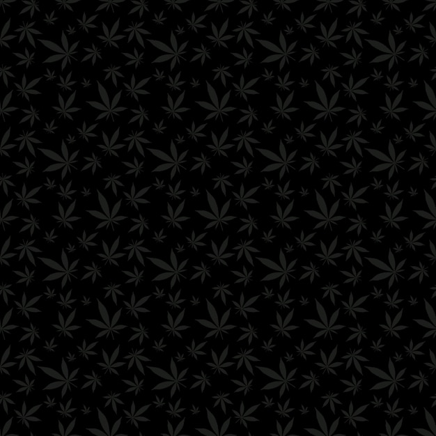 Patrón de hojas de cannabis sobre fondo negro azabache