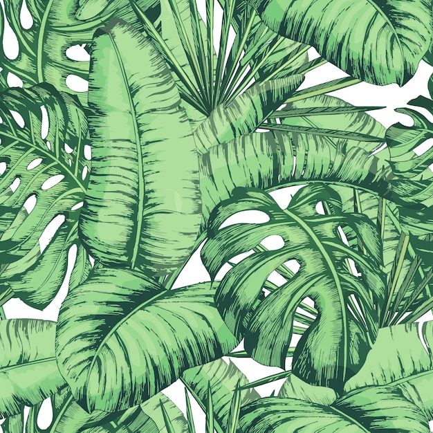 Patrón de hojas tropicales sin fisuras para textil de moda, ilustración de vector de planta de línea negra.