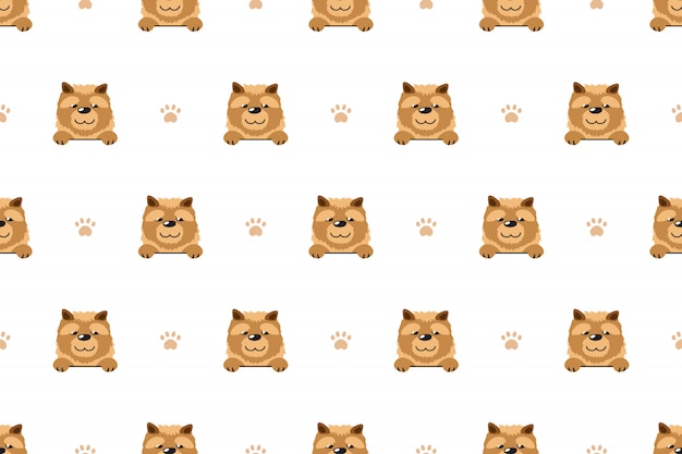 Patrón inconsútil de vector de personaje de dibujos animados chow chow perro