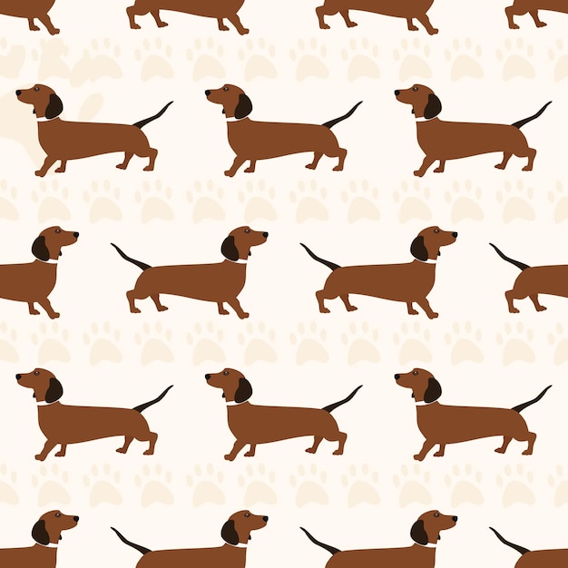 Patrón sin inconvenientes con perros de la raza Dachshund. Ilustración de vector plano con un animal lindo mascota