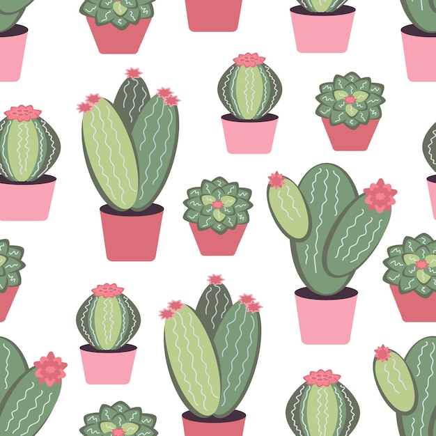 patrón interior dibujos animados cactus suculentas