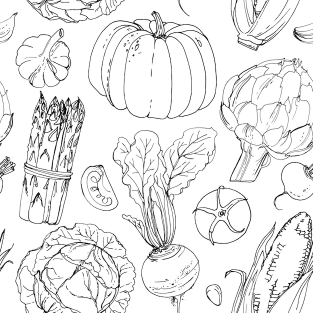 El patrón de la línea de verduras pintadas de colores dibujada sobre un fondo blanco Skertch cosecha de otoño Alimentos frescos