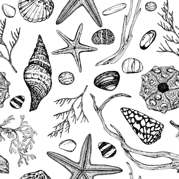 Patrón marino sin costuras conchas algas estrellas de mar madera flotante Vector de gráficos dibujados a mano en blanco y negro