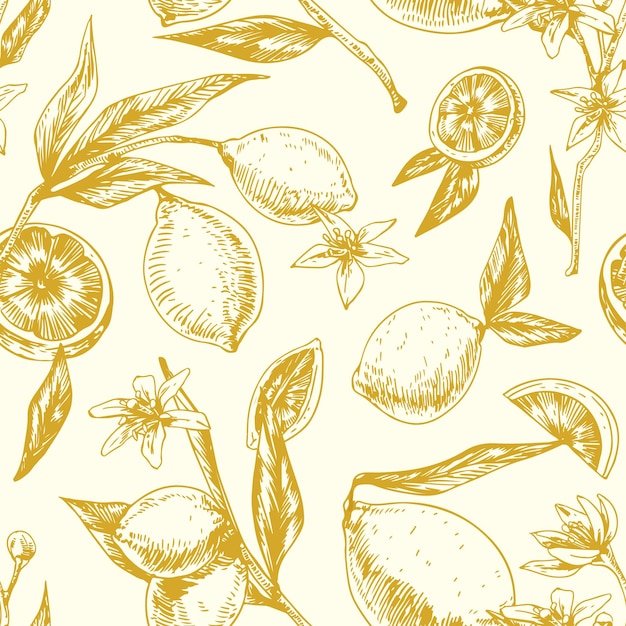 Patrón monocromático sin costuras con cítricos en ramas de limoneros en flor con hojas Fondo repetible sin fin en estilo retro Ilustración vectorial dibujada a mano para impresión y decoración